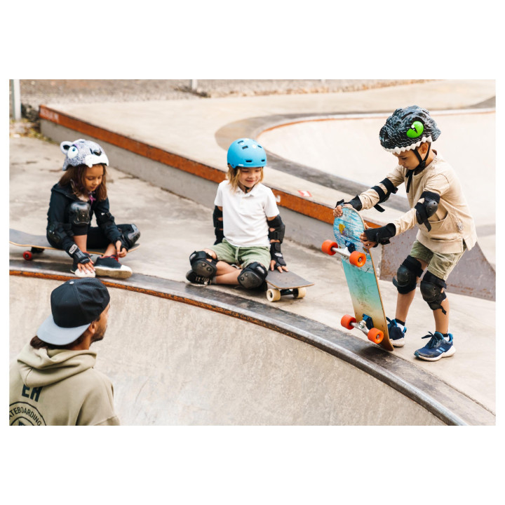 PAW PATROL Skye Liberty Houten skateboard voor kinderen 61cm, antislip, licht en stabiel 20-50kg