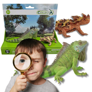 Collecta Set dierenfiguren - reptielen 3+