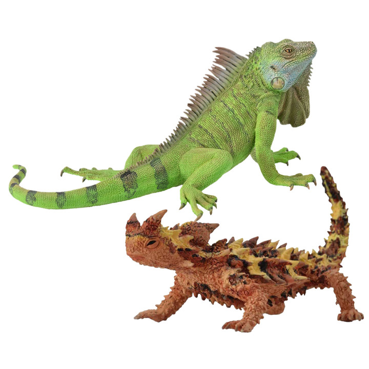 Collecta Set dierenfiguren - reptielen 3+