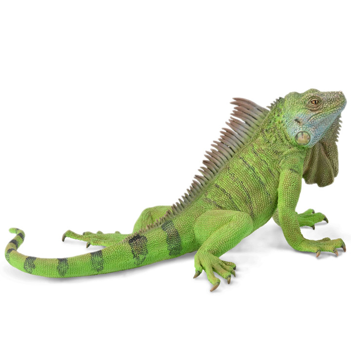 Collecta Set dierenfiguren - reptielen 3+