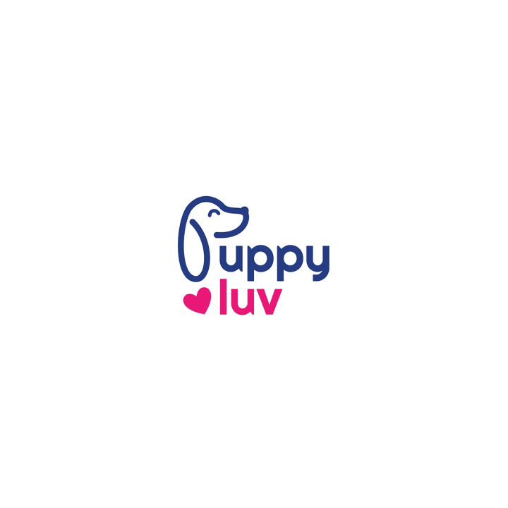 Puppy Luv - INTERACTIEVE Jack Russell Terrier-puppy, pluche WANDELENDE puppy, speelgoed voor kinderen Dexter 2+