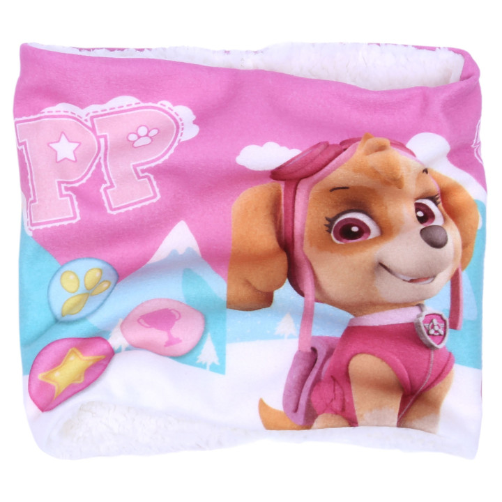 Roze geïsoleerde Skye Paw Patrol Nickelodeon schoorsteen