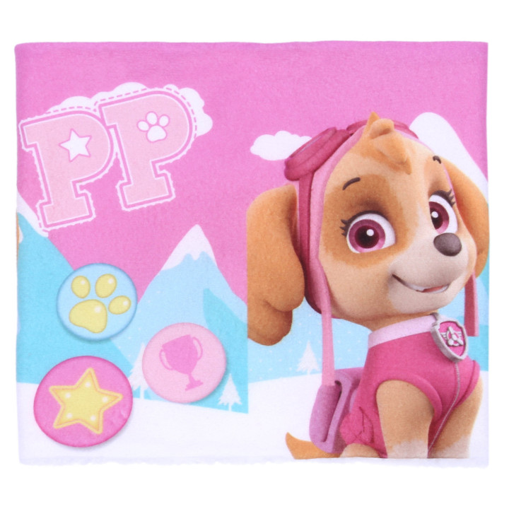 Roze geïsoleerde Skye Paw Patrol Nickelodeon schoorsteen