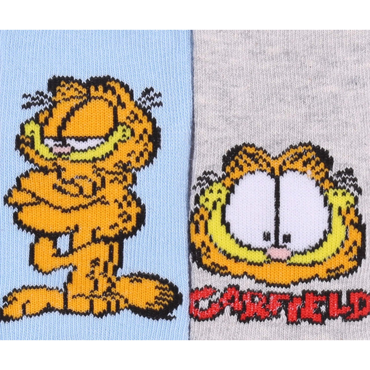 Garfield - 2 paar Grijze en Blauwe Babysokjes